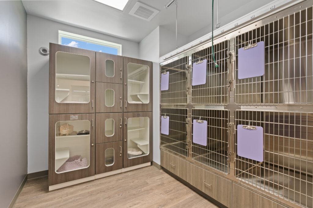 Pet Boarding in Prosper, TX